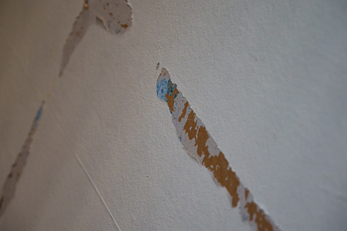 Basement Water Removal service in Royal Oak, MI